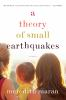 A_theory_of_small_earthquakes