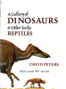 A_gallery_of_dinosaurs___other_early_reptiles