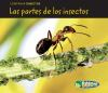 Bug_parts__Las_partes_de_los_insectos