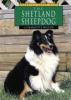 The_Shetland_sheepdog