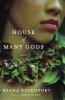 House_of_many_gods
