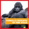Gorilla_infants_in_the_wild