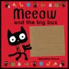 Meeow_and_the_big_box