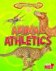 Animal_athletics