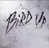 Bird_up