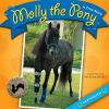 Molly_the_pony