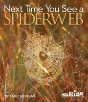 Next_time_you_see_a_spiderweb