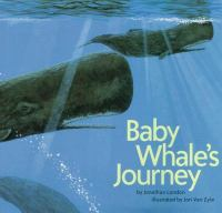 Baby_whale_s_journey