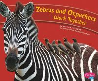 Zebras_and_oxpeckers_work_together