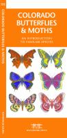 Colorado_butterflies___moths__an_introduction_to_familiar_species