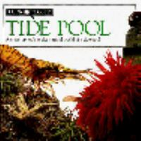 Tide_pool