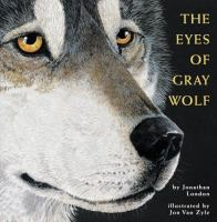 The_eyes_of_Gray_Wolf