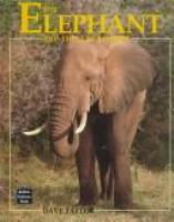 The_elephant_and_the_scrub_forest
