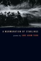 A_murmuration_of_starlings