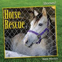 Horse_Rescue