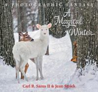 A_magical_winter