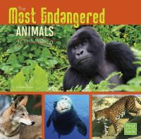 The_most_endangered_animals_in_the_world