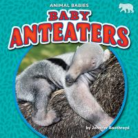 Baby_anteaters
