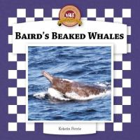 Baird_s_beaked_whales